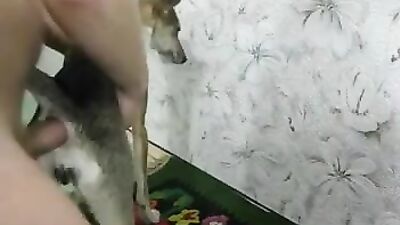 Girl dog video: zoo video vk