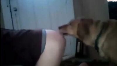 Animal porn: zoo porn oral