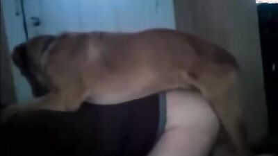 Animal porn: zoo porn oral