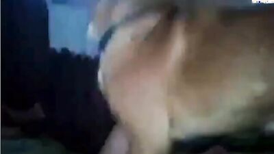 Animal porn: zoo porn oral