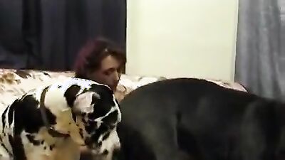 Girl dog video: sex dildo zoo