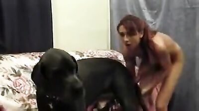 Girl dog video: sex dildo zoo