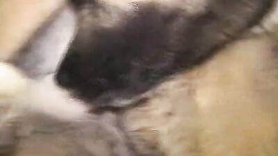 2 dog girl: dog penis sex