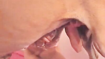 Teen zoo porn: zoofilia zoo sex