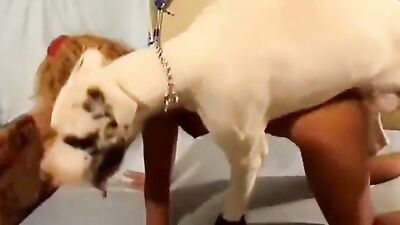 Art of zoo: dog fuck girl amateur