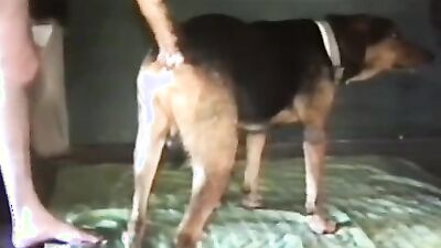 Zoo fuck porn: guy fuck dogs porn