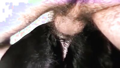 Bestiality video: free zoo sex