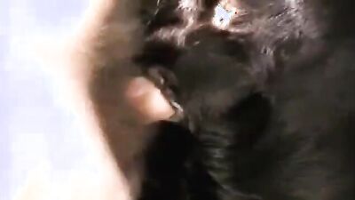 Bestiality video: free zoo sex
