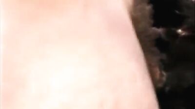 Bestiality video: free zoo sex