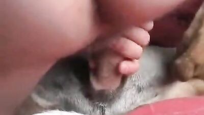 Bestiality games: sex animals porn video