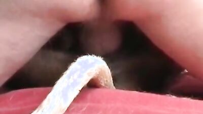 Bestiality games: sex animals porn video