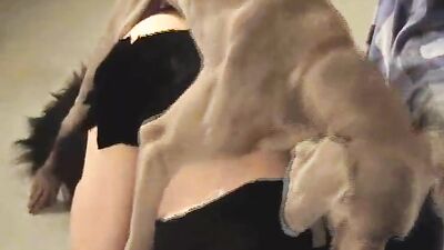 Animal porn: bestiality cowgirl xxx