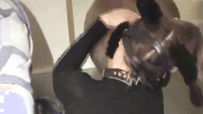 Animal porn: bestiality cowgirl xxx