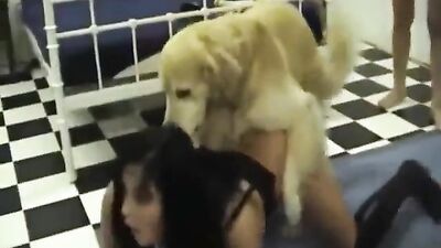 Animal porn: animals sex tape video