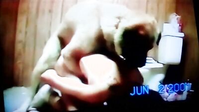 Dog sex girl: bestiality lick