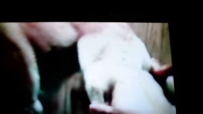 Dog sex girl: bestiality lick