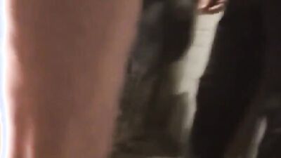 Dog gay porn: porn r34 animal