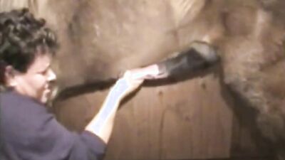 Dog teen girls: zoo porn webcam amateur