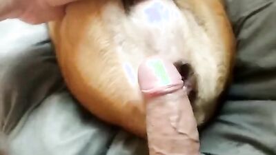 Zoo porn: nubal dog sex
