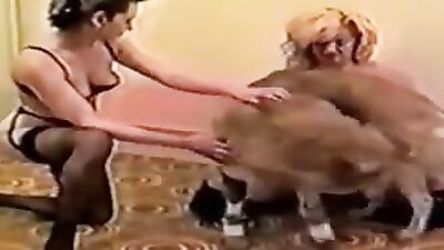 Zoo sex: bokep animals sex