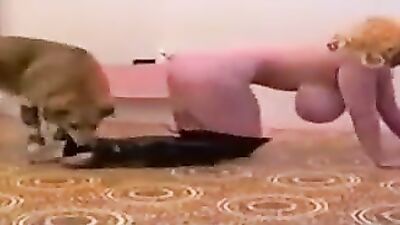 Zoo sex: bokep animals sex