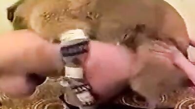 Zoo porn video: animated dog sex