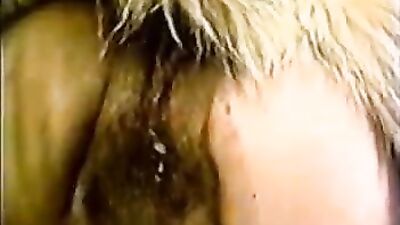 Zoo porn video: hot sex animals