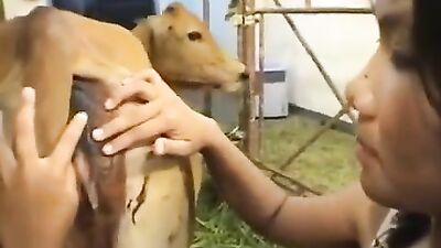 Bestiality hentai: animal porn men