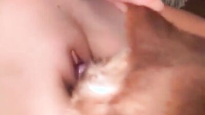 3d dog sex: zoo porn big dick