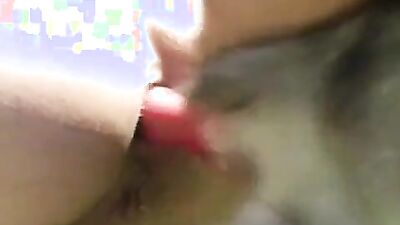 Girl having dog: zoo big video