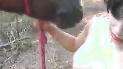 Gay zoo porn: animal sex reaction