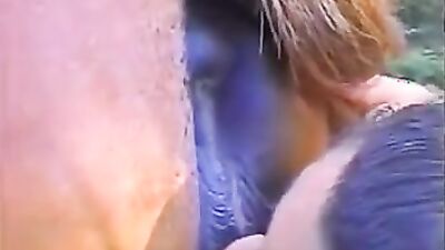 Gay zoo porn: animal sex reaction