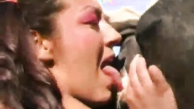 Dog fuck girl: knotted zoo sex