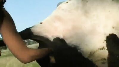 Dog fuck girl: knotted zoo sex