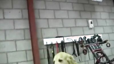 Animal porno: manga moms old and dog sex