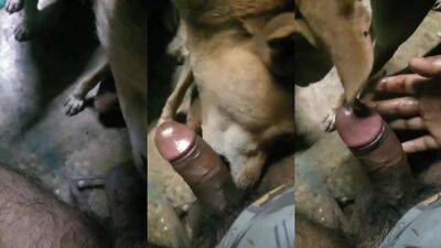 Porn comics bestiality: neueste zoo porno videos