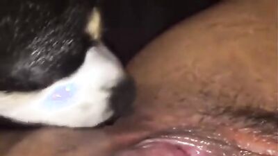 Sex animal's: na na zoo porn