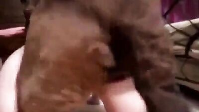 Zoo video: zoophilia porn sex