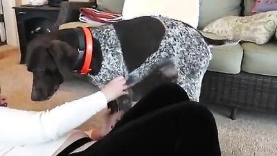 Teen dog sex: lady and dog sex