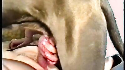 Dog get girl: bestiality incest