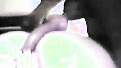 Animal cross porn: sex zoo couple with animal