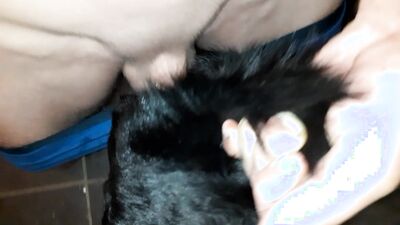 Porn comics bestiality: zoophilia lovers