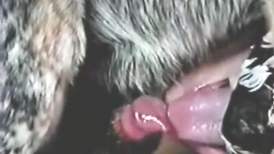 Bestiality: gay zoophilia