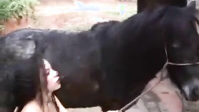 Animal sex video: sex web dogs