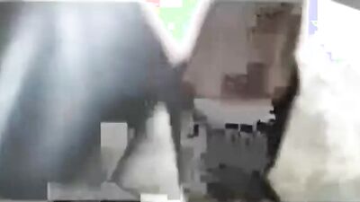 Zoo sex porn: real dogging porn