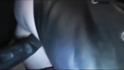 Zoo sex porn: real dogging porn