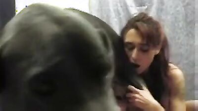 Bestiality xxx: porno xxx video zoo k9
