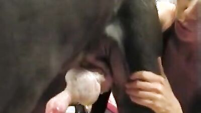 Bestiality xxx: porno xxx video zoo k9