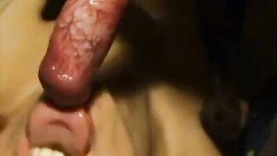 Zoo sex porno: zoo sex dog wife