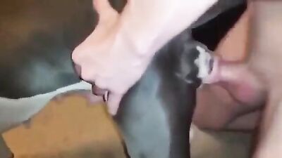 Animal porno: horse sex dog porno video
